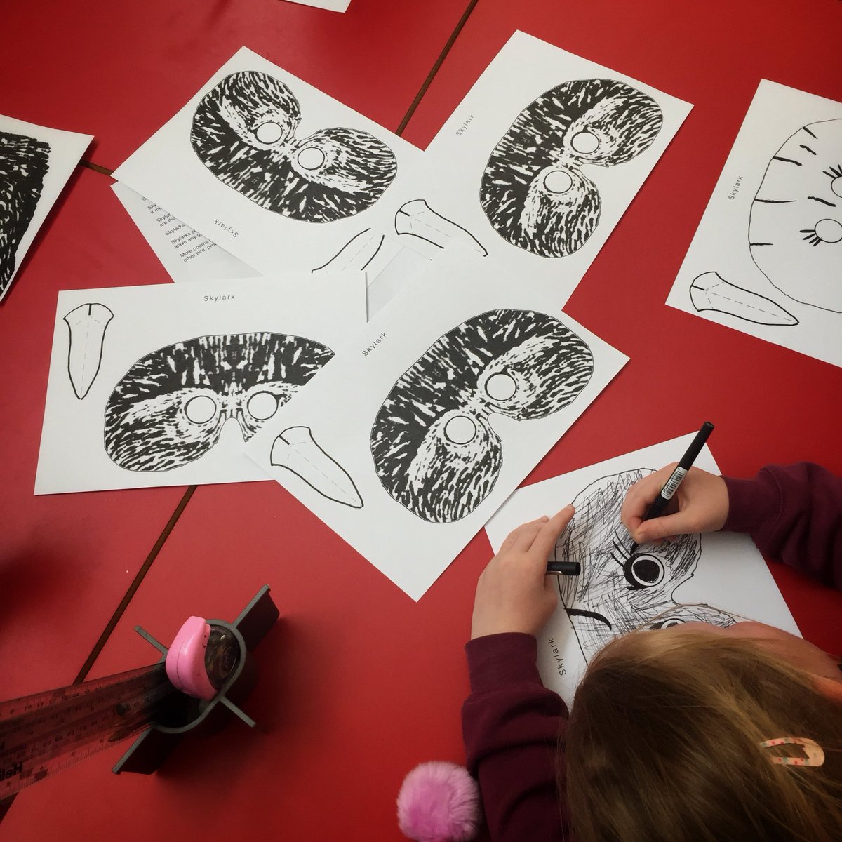 3rosella's tweet photo. Birds workshop with @marcus_coates_ @PrudCastleSchl @NorthEastNT @CherryburnNT @mcahe_NU https://t.co/QKbGluqu7q