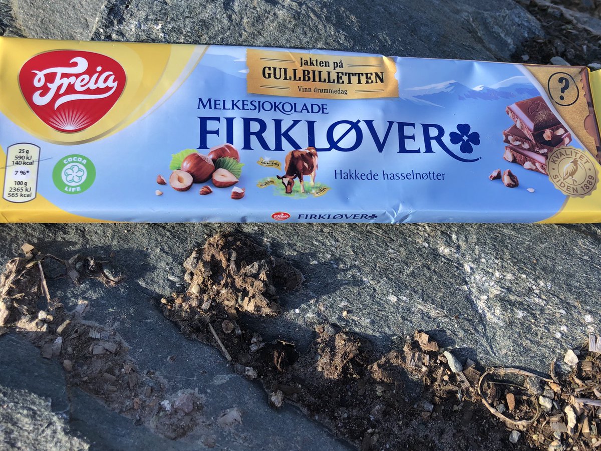 ট ইট র ノルウェー夢ネット ノルウェーに来たら食べたいお菓子 Freiaのチョコレートとsorlands Chips ノルウェー