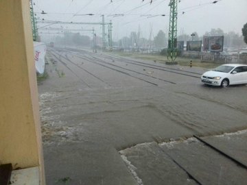 View image on Twitter