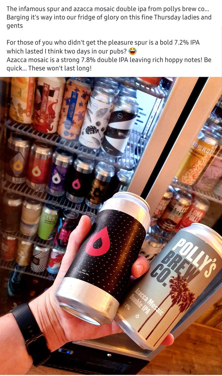 Bow-Legged Beagle Upton (@uptonbow) on Twitter photo 