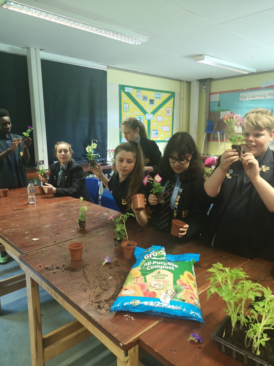 DeanesScience's tweet photo. Lots of potting and planting this afternoon in our Gardening Challenger lesson. Our students are heading home with a tomato plant and a Petunia #iMatter #gardening #extracurricular https://t.co/T2HkBfD6hR
