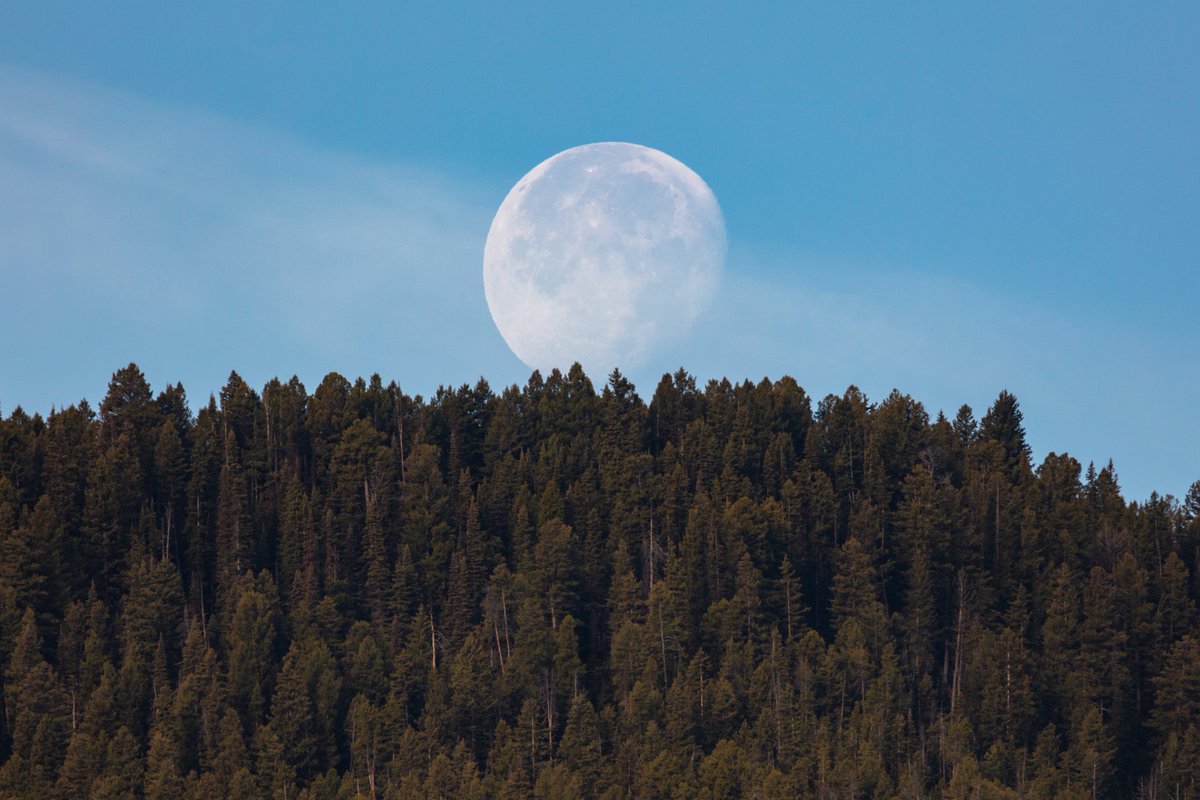 YellowstoneNPS's tweet photo. Telephoto lenses aren't only good for wildlife. Please keep at least 238,855 miles from the moon at all times. #SafetyFirst @NASA https://t.co/BaL4JTyHi3