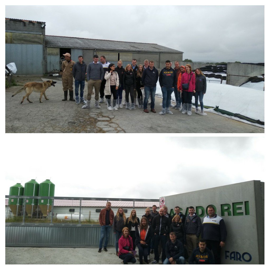 #LeadFarmEU team was yesterday visiting #CasadoRei, dairy + poultry farm in Galicia, during the 2nd Transnational Mobility Program. Young farmers from #Ireland, #Latvia, #France &amp; #Spain #generationalrenewal #agrifood #coops #genderbalance #training
<a href="/Leargas/">Léargas</a>
