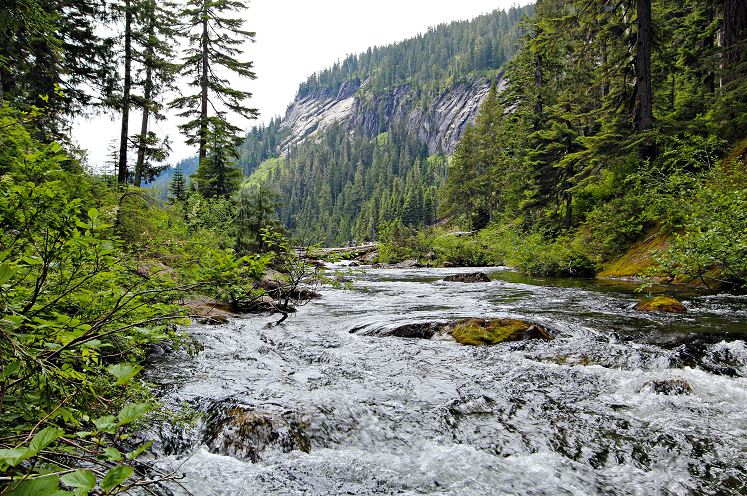 rivernetwork's tweet photo. Is your nonprofit work focusing on #stewardship activities on a U.S. Forest Service administered Wild and Scenic River? Apply for #funding by July 3rd, 2019!
https://t.co/99wWE6GX6V https://t.co/bSZD0pifBW