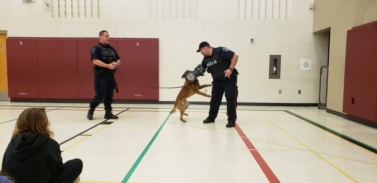 Bridget_Baker7's tweet image. What an amazing way to rap up our VIP program! Special guest Constable James and his partner Axle came for a visit today! Thanks for teaching us so much valuable information Contable Gillies, we truly appreciate it! @jrcallwood @PCGillies #besafehavefun @MsSLBaker @STPSmedia
