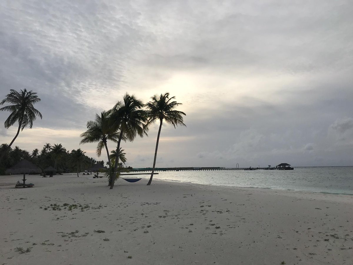 Moved onto the fabulous <a href="/atmosKANI/">Atmosphere Kanifushi</a> thiis afternoon after a spectacular seaplane flight from Male. A rare treat to see the rays being fed at dusk too! The <a href="/IfOnlyPartners/">If Only... Partners</a> fam trip group are having a memorable few days!