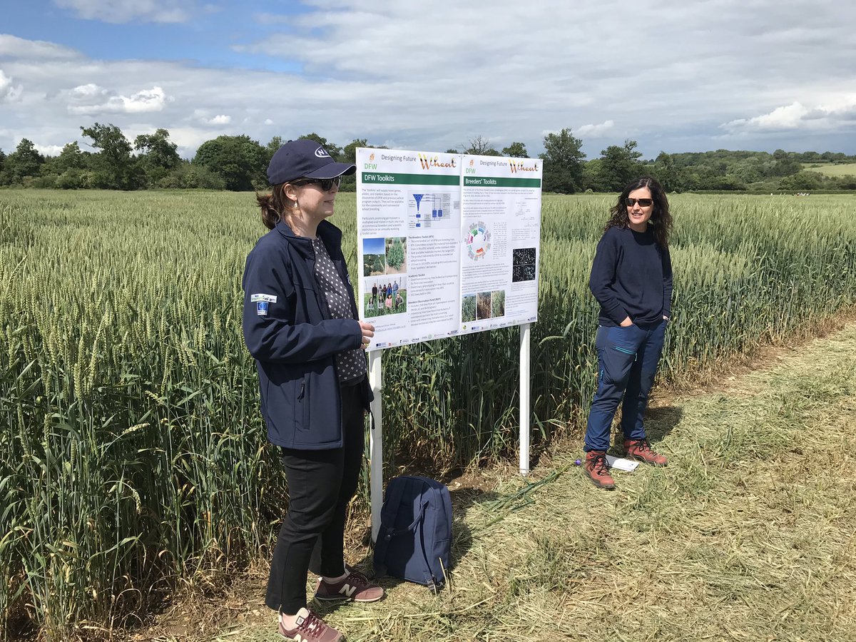 Designing Future Wheat tweet media