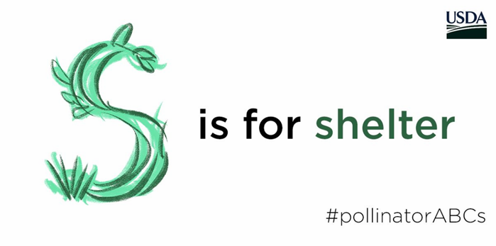 NRCS_WI's tweet photo. RT @usda_nrcs: After a full day of helping farmers and gardeners, #pollinators need a place to rest. https://t.co/yXYn87sWXC #pollinatorABCs #PollinatorWeek https://t.co/MakCF4mKHz