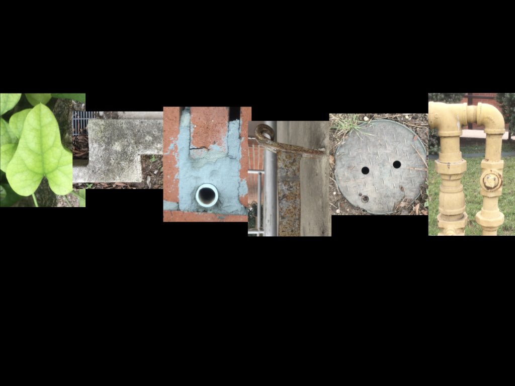 ashton_braly's tweet image. Started my morning with a nature walk. Looked for shapes and lines during #EveryoneCanCreate #appleedu #creativeprocesses