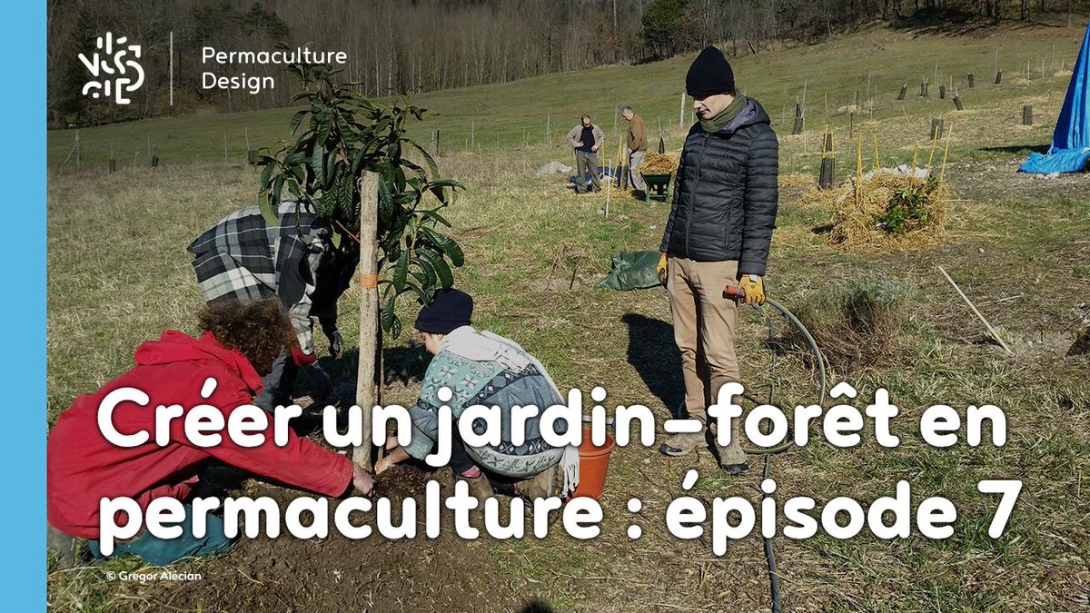 Infopermacultur's tweet photo. Créer un jardin-forêt en permaculture : épisode 7 Pour lire l’article complet : https://t.co/24lVIjct1x https://t.co/jvcseeysRS