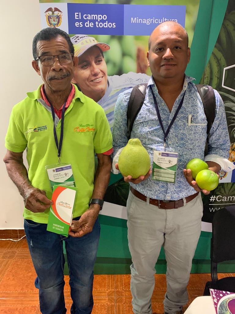 marcela_uruena's tweet photo. #CosecheYVendaALaFija #AEstaHora la Asociación de productores de Cítricos de la Costa Caribe codifican sus naranjas margarita y pomelos en @olimpicaSA durante la Jornada de Negocios de @MinAgricultura en Valledupar #CampoConProgreso https://t.co/ra7kFqgBmB