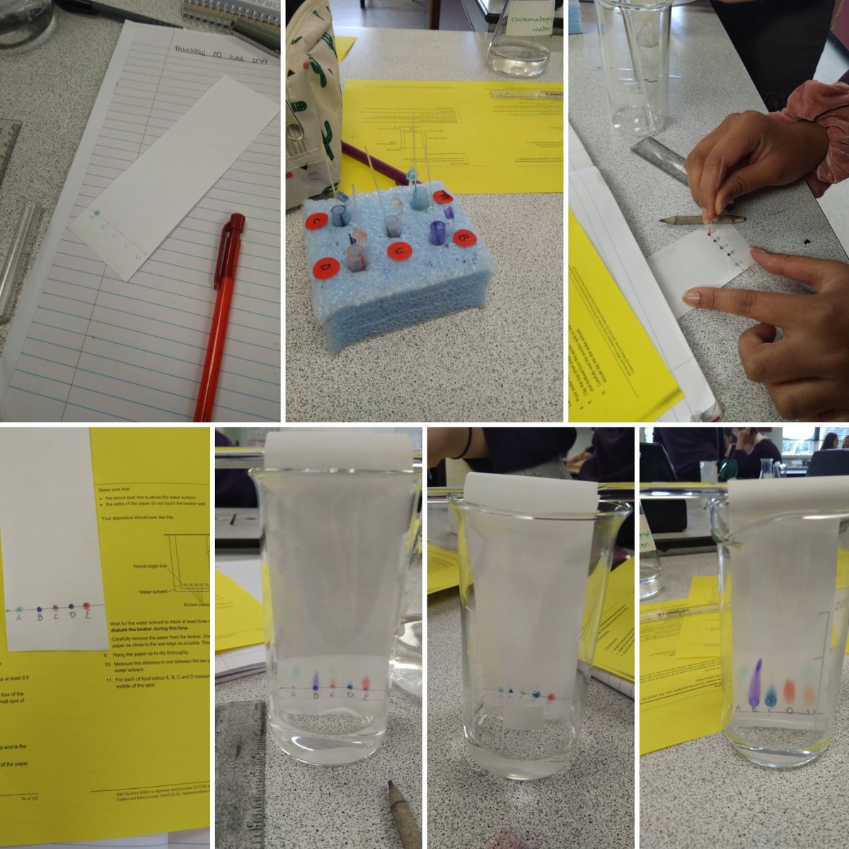 HSScienceDept's tweet photo. Another required practical done. Chromatography, which is used to separate mixtures, to analyse reactions and to check purity of products. Today our year 10's used this technique like experts and found out what was in our unknown ink. #chromatography #aqa #reqprac #C8analysis https://t.co/meGOoDaJfJ