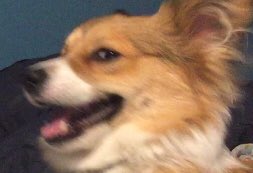 mfw the <a href="/LionsTN/">Lions</a> show is tmrw