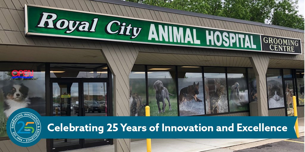 LifeLearnInc's tweet image. This month, our President and CEO @RandyValpy made a special delivery to Dr. Mazzocco and the staff at @RoyalCityAnimal Hospital in Guelph, Ont., to say &quot;THANK YOU&quot; for nearly 25 years of continued business.