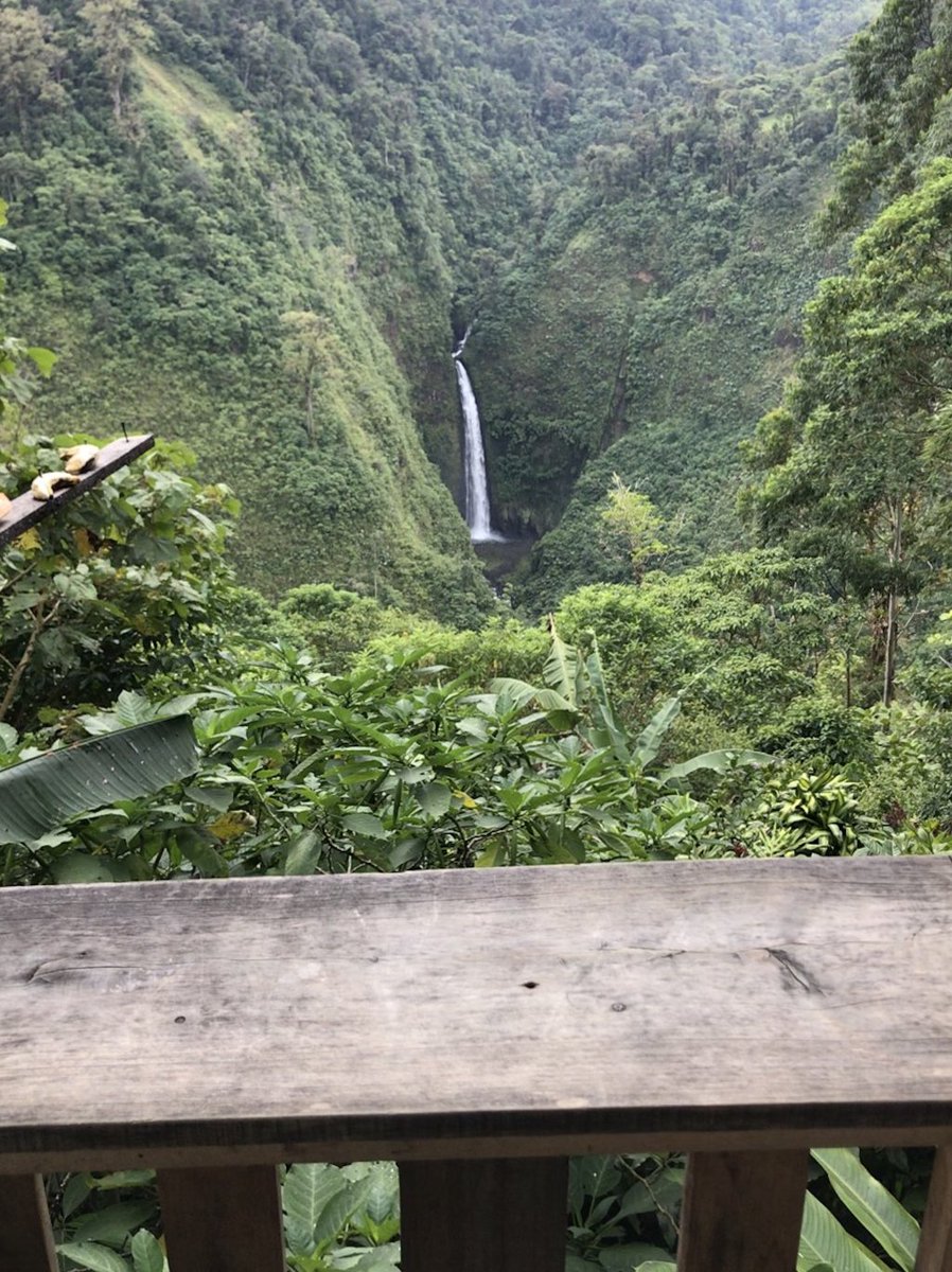Recoupconquer's tweet image. Costa Rica 🇨🇷 Pure Life recoupandconquer.wordpress.com/2019/06/20/cos…