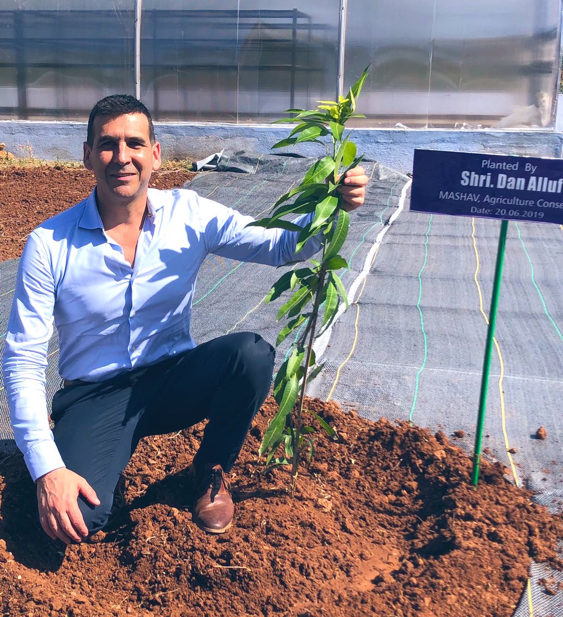 DanAlluf's tweet image. We have planted millions of Mango trees across India as part of the #IIAP, I hope the 🥭🌳 I planted today in Dindigul Tamil Nadu at the 🇮🇳🇮🇱 CoE will grow part just like our joint partnership is evolving