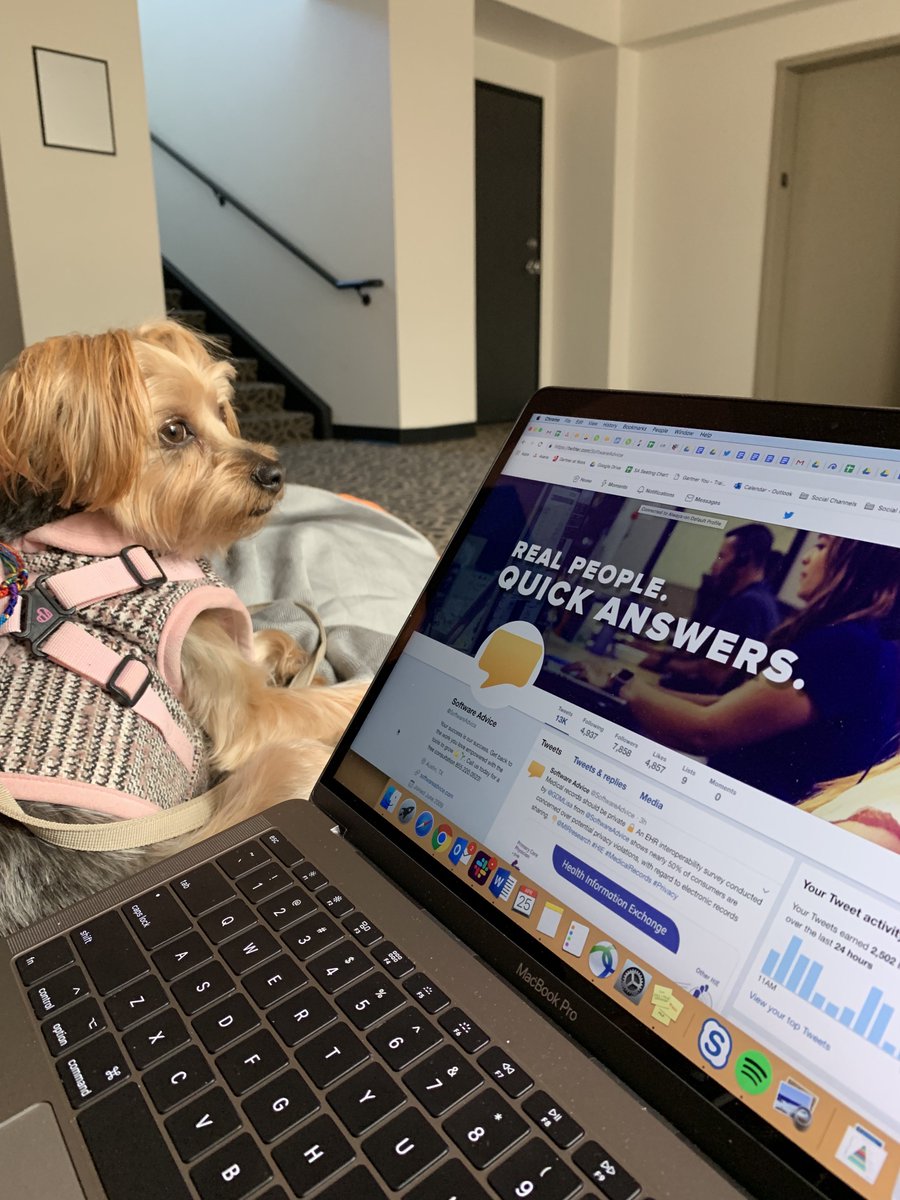SoftwareAdvice's tweet image. Tomorrow is Bring Your Dog To Work Day! Any guesses on how many dogs will be in our office tomorrow? 

Fun Fact: our employees have been bringing their four legged friends to our office since 2005! #companyculture #bringyourdogtowork #dogatwork #worklifebalance