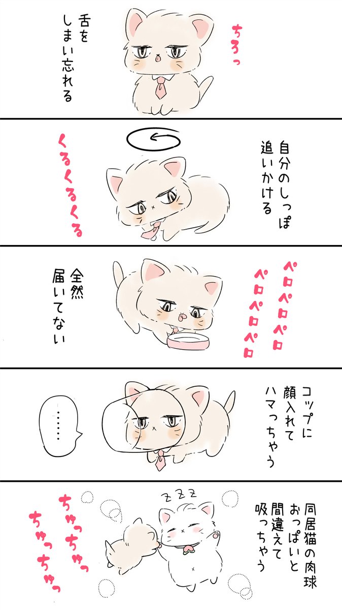 いちかわ暖 2巻 ドラマcd発売中 على تويتر 同居猫の肉球おっぱいと間違えて吸っちゃう猫