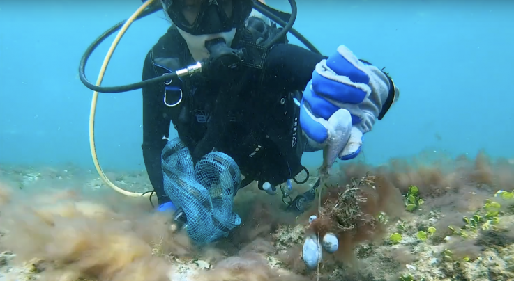 #Rappel Le plus grand nettoyage sous-marin entre au Guinness des records lesclesdedemain.lemonde.fr/societe/le-plu… #océan #dechets #environnement