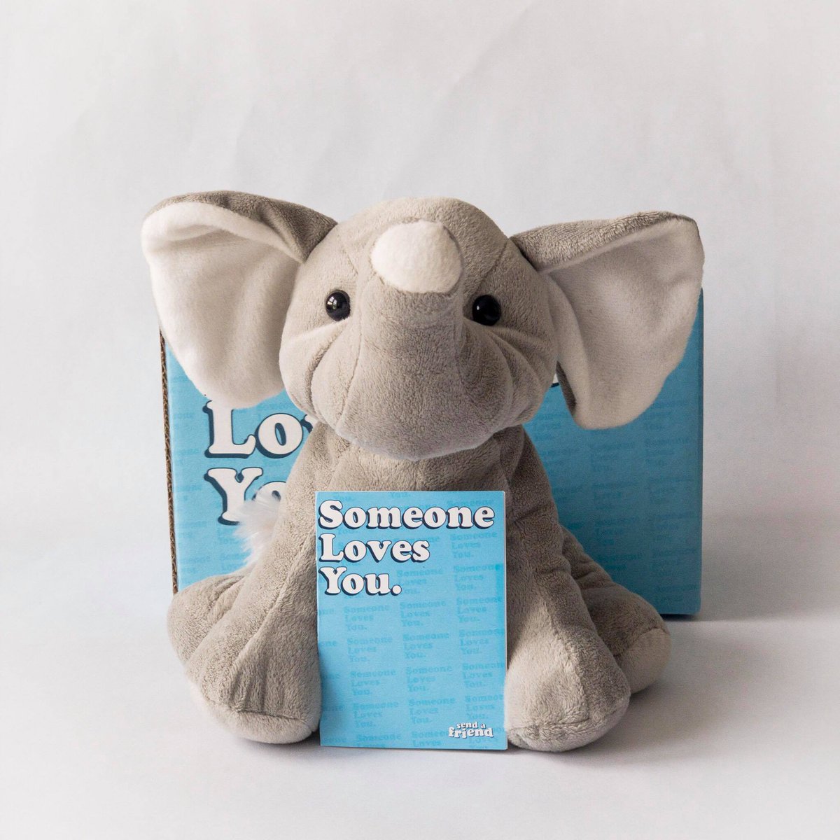 sendafriendco's tweet photo. Send a stuffed animal to anyone in the world! 10% of every sale goes to children's hospitals in the USA 😍

Shop ➡️ https://t.co/H1tsOr1DNG https://t.co/eCAyKXmX8S