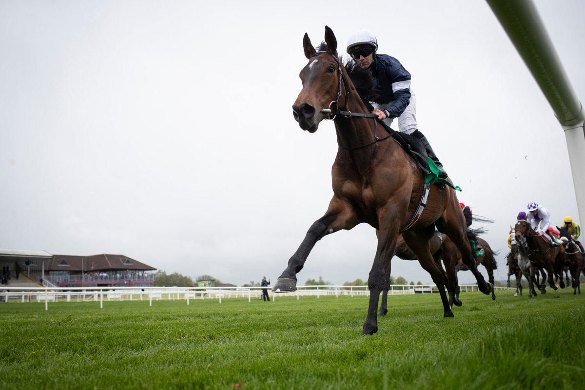 NavanRacecourse's tweet image. Super run by Gr3 Vintage Crop winner Master Of Reality to get 3rd in the Ascot Gold Cup.

It was great to have the Vintage Crop Stakes as part of the @WbysHamilton Stayers&apos; Millions Series this year. Great result for the race to have our winner get 3rd in the big race! #NavanForm