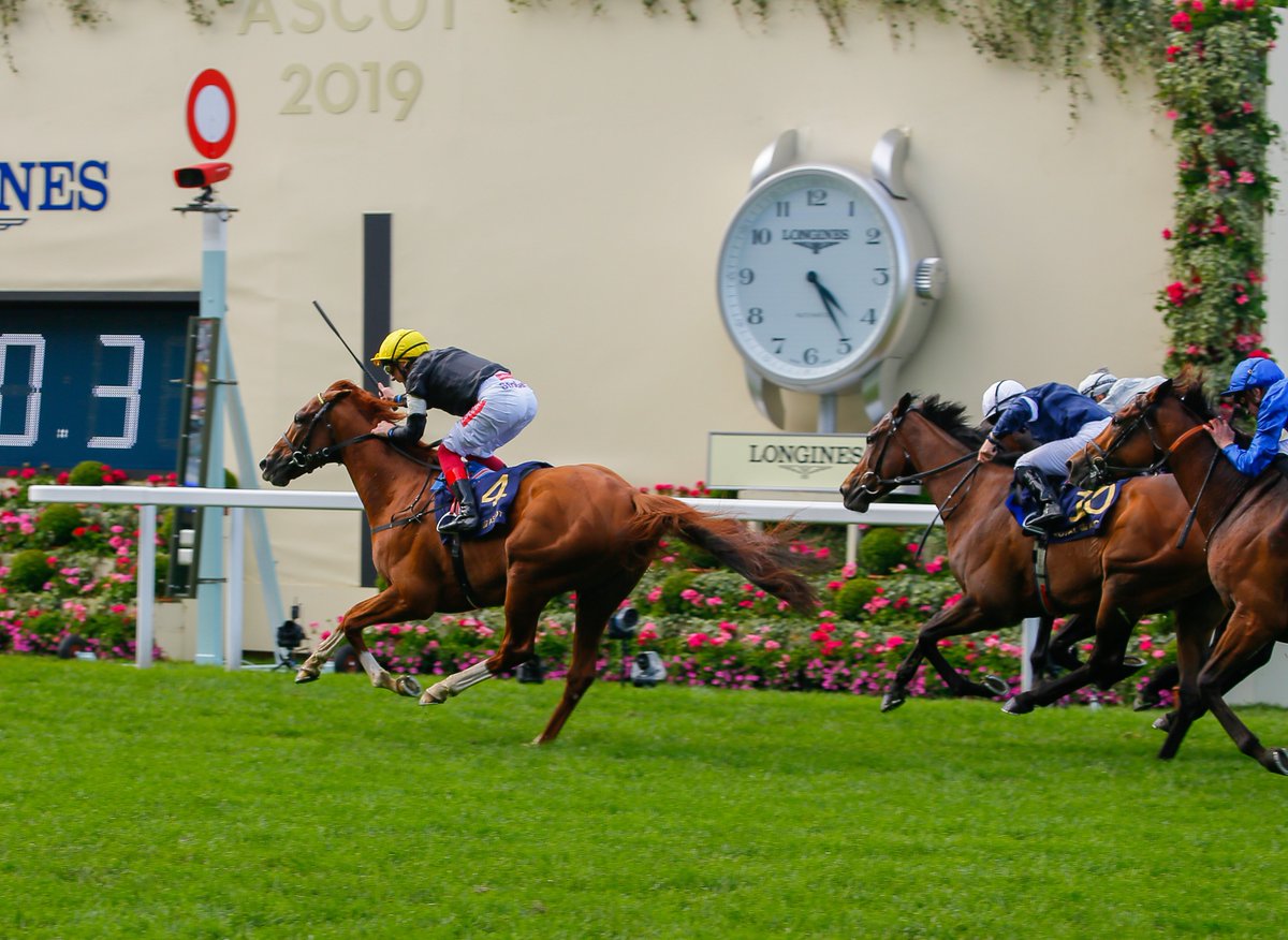 NavanRacecourse's tweet image. Super run by Gr3 Vintage Crop winner Master Of Reality to get 3rd in the Ascot Gold Cup.

It was great to have the Vintage Crop Stakes as part of the @WbysHamilton Stayers&apos; Millions Series this year. Great result for the race to have our winner get 3rd in the big race! #NavanForm