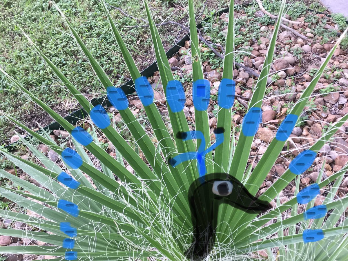 GarzaKinder's tweet image. @AppleEDU #EveroneCanCreate #thisisnorthside Apple iPad workshop fun!