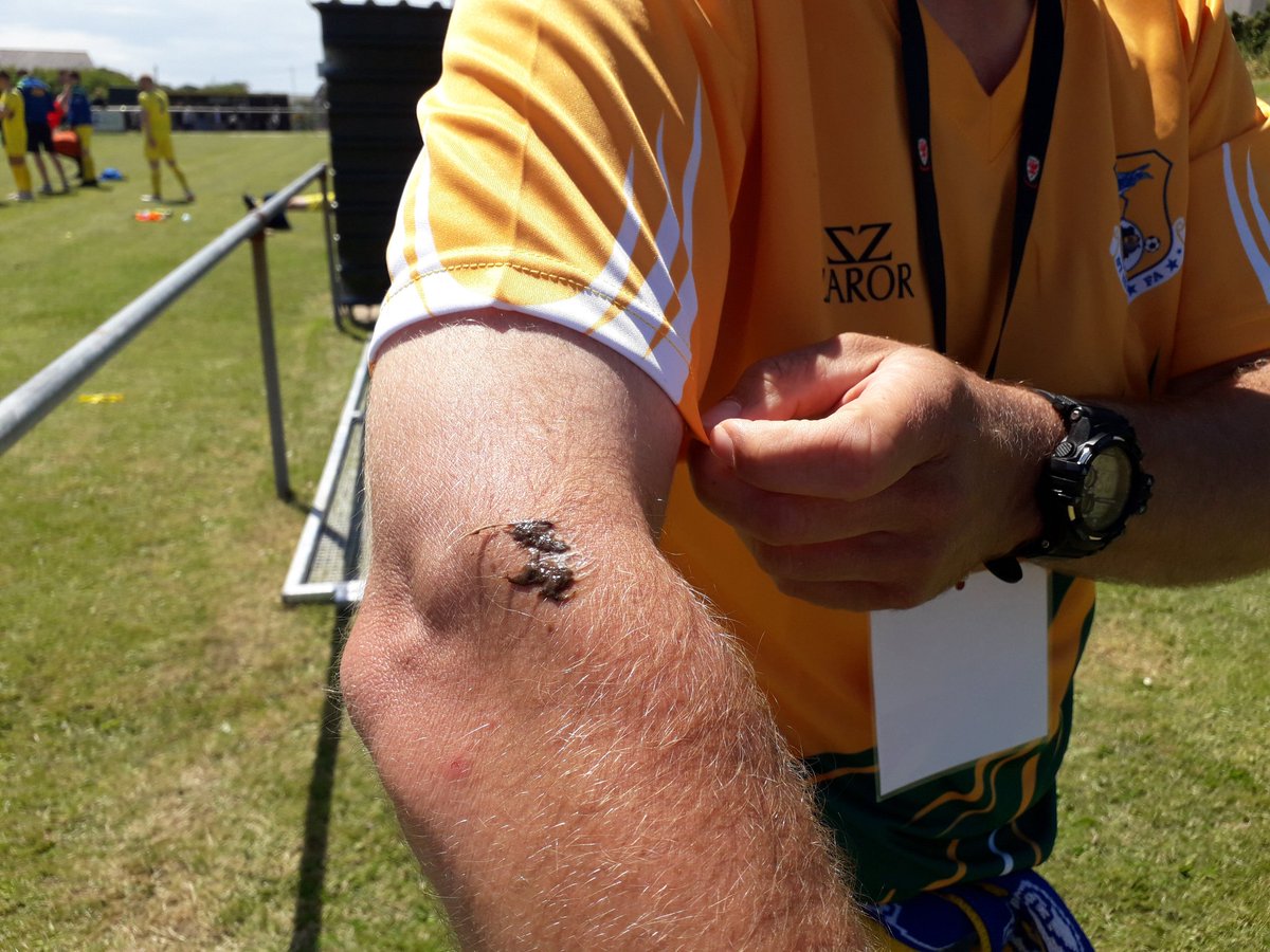 SHFAunofficial's tweet photo. Got this as a leaving present this morning; must've been a #WesternIsles fan.. 🤣

⚽️💛💚🇸🇭

@ynysmon2019 @wiiga2017 

#SaintstoWales
#YnysMôn2019
#fromonhigh
#ohpoo
#bitlateforgoodluck https://t.co/QQg6dBKFck