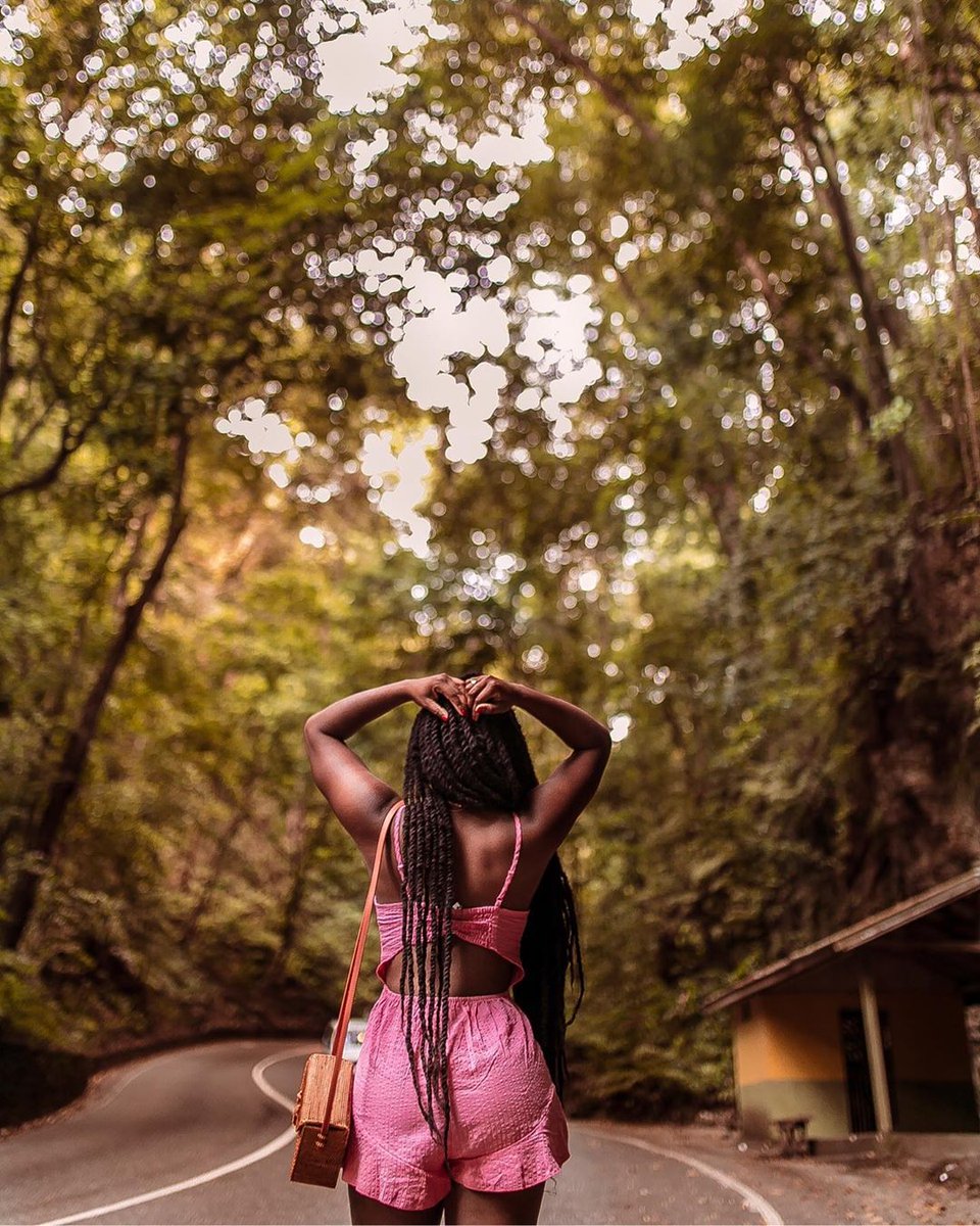 VisitJamaicaNow's tweet image. Who knows where these winding roads will lead us? #OneLove #VisitJamaica 📸 IG User @uzypaws