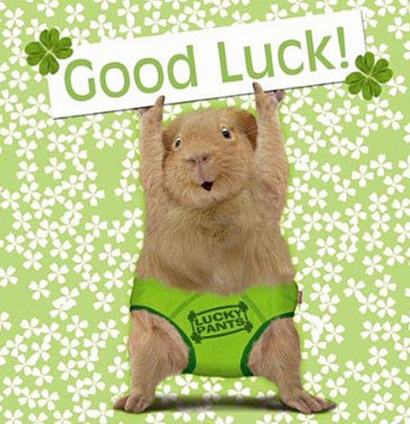 Good luck надпись. Good luck гиф. Good luck clipart. люберцы логотип. Luck язык.