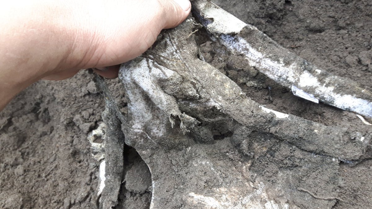 Het was even zoeken waar ik m'n onderbroek verstopt had, maar het resultaat is goed zichtbaar, het elastiek en het dikkere voorpand zijn  nog heel,  voor de rest mooi verteerd lelieteelt.nl/index.php/nieu… #SoilYourUndies2019NL