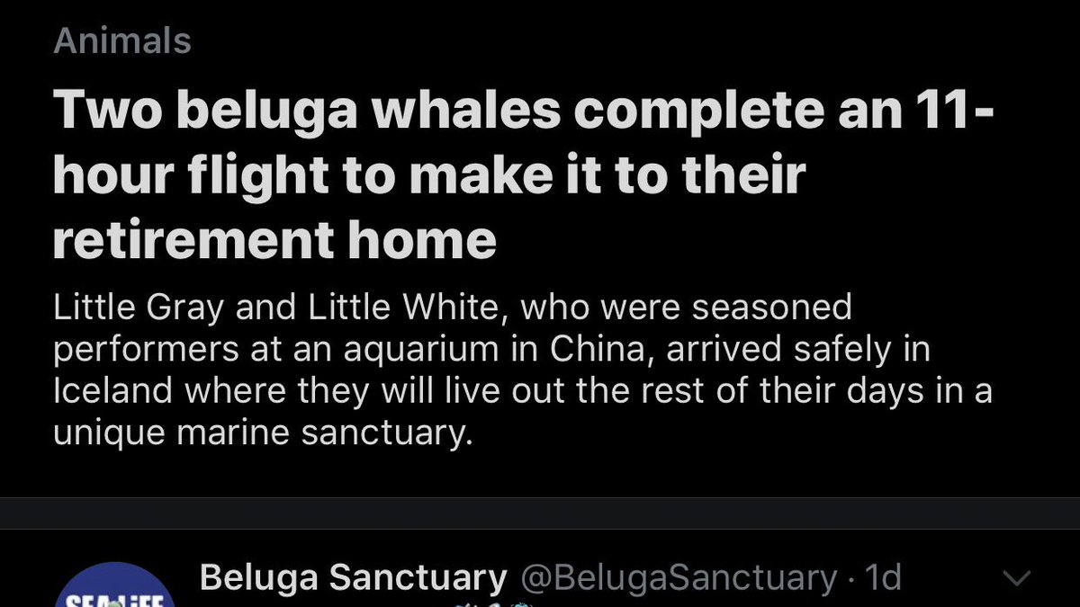 LUOLHope's tweet photo. this is the most wholesome headline https://t.co/GcbBZcyG3H