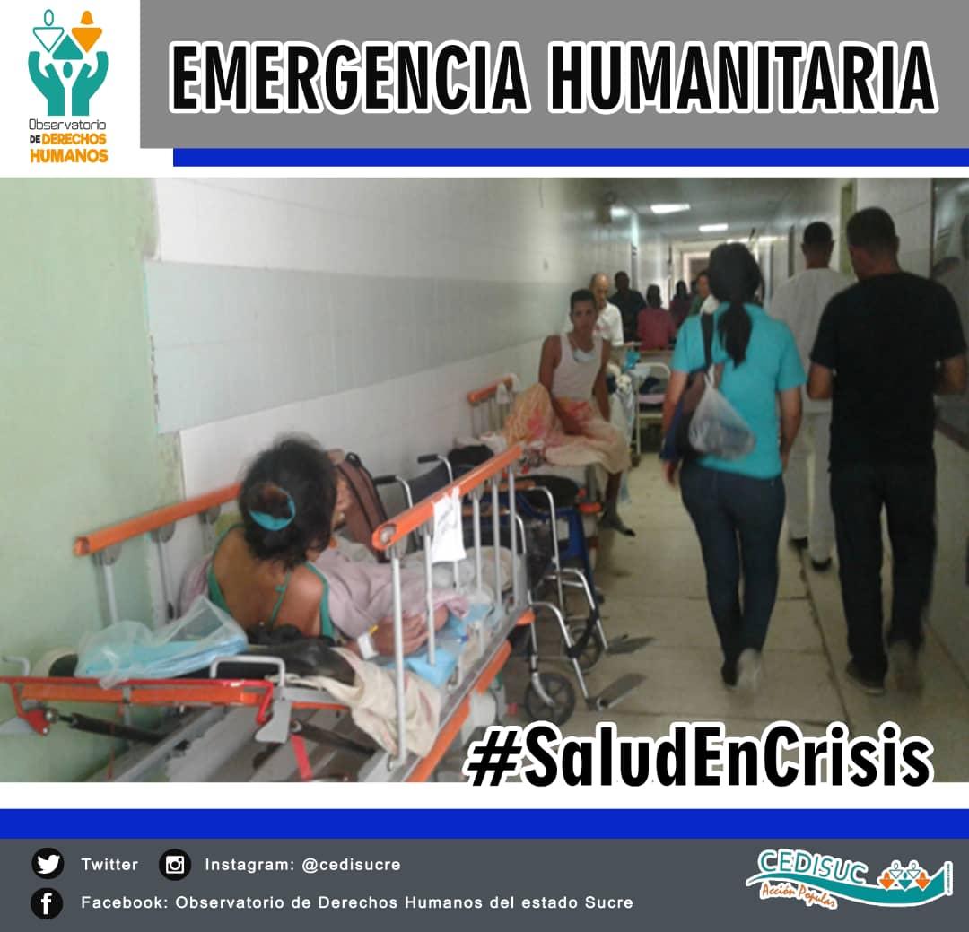 Observatorio de Derechos Humanos del estado Sucre tweet media
