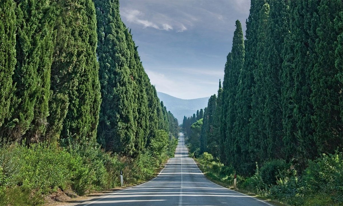 news_donatella's tweet photo. Tra i #motivi dell’#insuccesso una cattiva #interpretazione del #progetto #Stradedelvino a cui si aggiunse la mancanza di #personale formato e di una #regia #nazionale in grado di dare un indirizzo condiviso.
https://t.co/uFkuVDofaF https://t.co/CU8A2hC9oZ