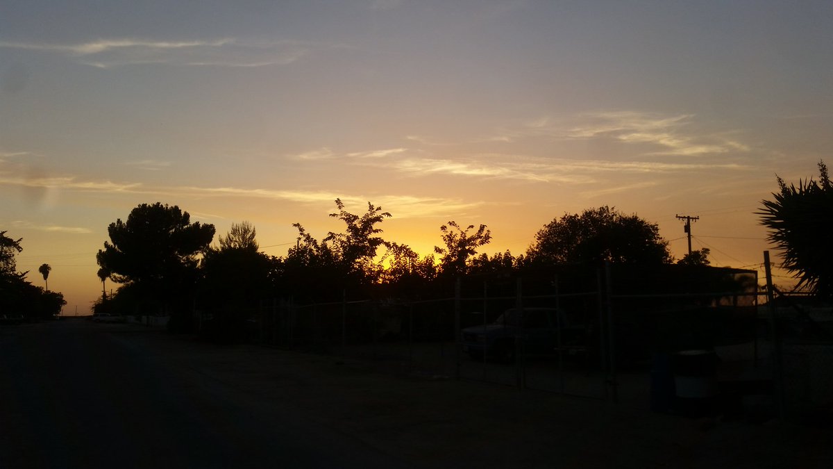 *hangs upside down from a tree*  so . . . bored . . . No humans around . . . *Sits up and slowly falls asleep*