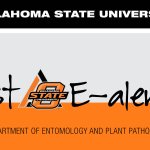 Photo by Department of Entomology & Plant Pathology (@okstate_epp)