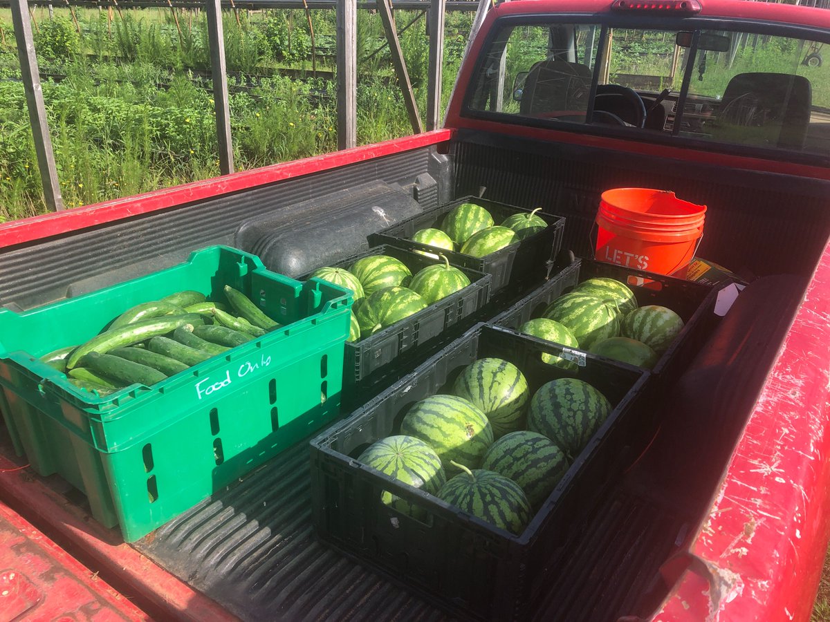 KingofCrops's tweet photo. Good looking truck full of watermelons and cucumbers headed to our #KingofPops Bar! #kingofcrops https://t.co/Mc73Sh27jh