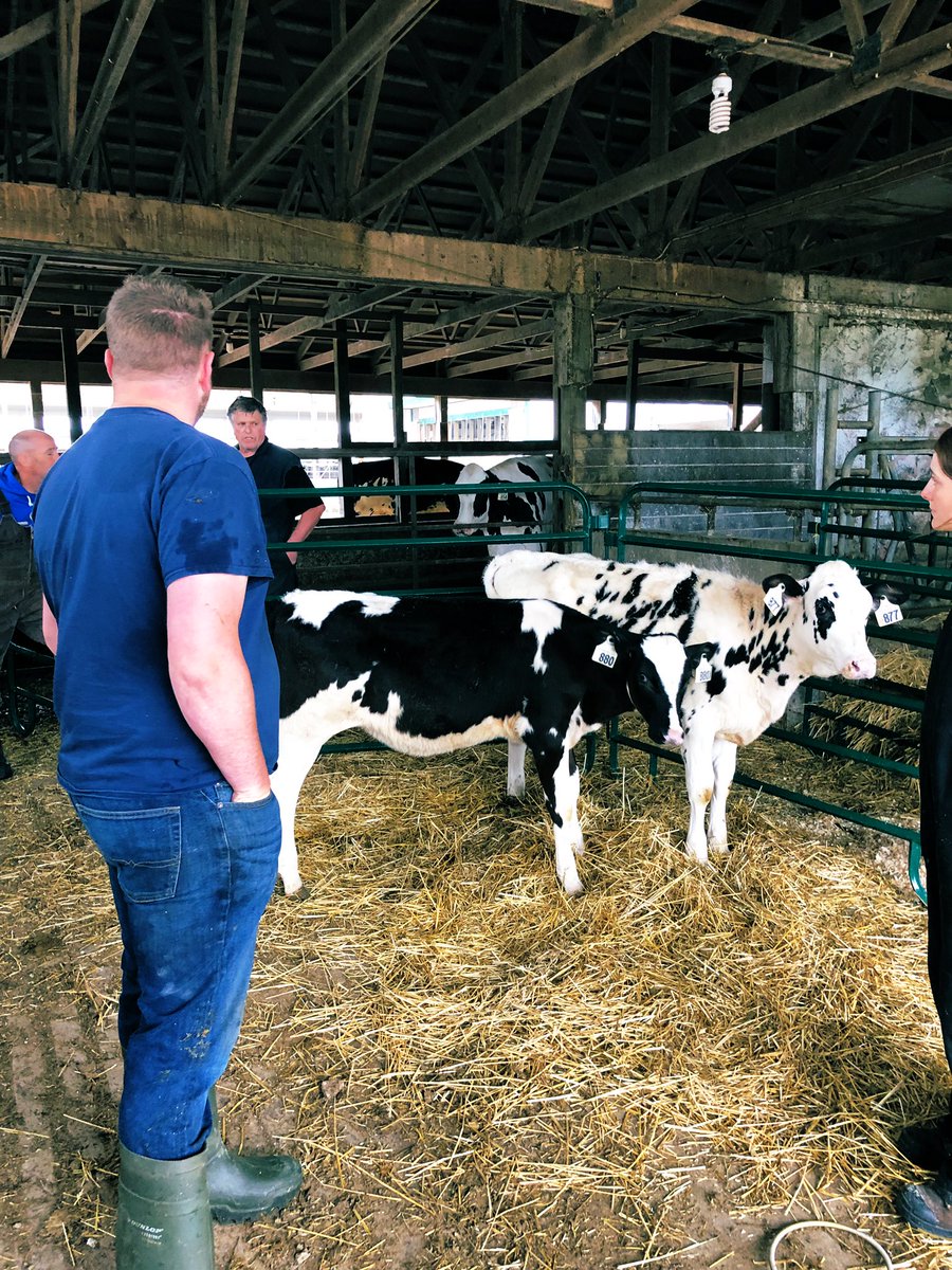 Wrapped up our last day of weigh and measures at Christanna Holsteins today, with an exceptional (and very quiet!) group of girls. Thanks <a href="/ChristianDroef1/">Christian Droefke</a> and Rudy!