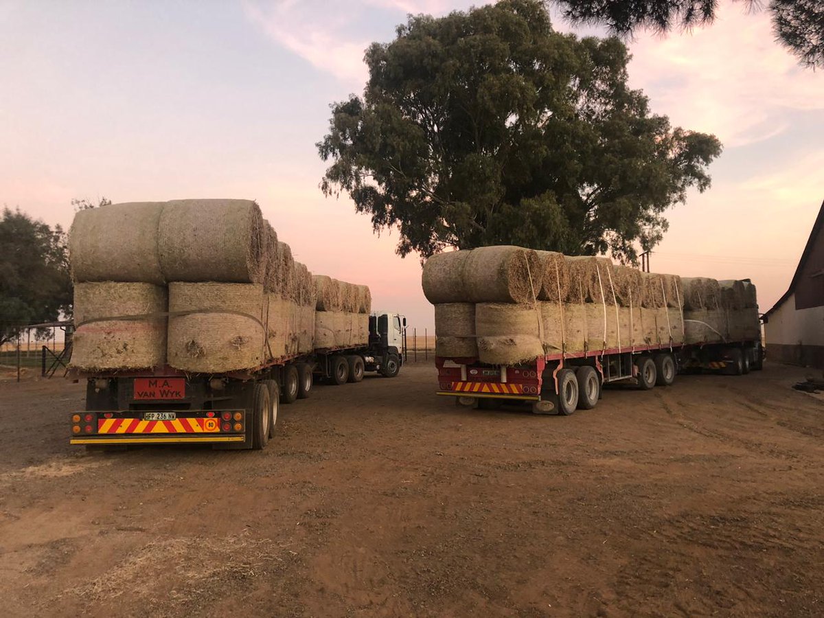 boere_in's tweet photo. @MiljoenvirSteve 
@PretoriaFM 

2 Vragte  voer word naby Schweizer Reinke gelaai. Baie dankie Riaan Van Wyk vir baie goeie prys op bale . Vragte oppad na Deben en noord van Olifantshoek . https://t.co/YZ497kIdwg