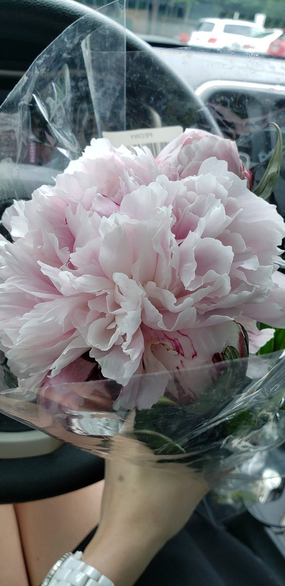 GottschlingB's tweet photo. #TraderJoes flowers can always make a Birthday smell the sweetest. HBD to me!

#treatyourself https://t.co/qWPSkAkaI3