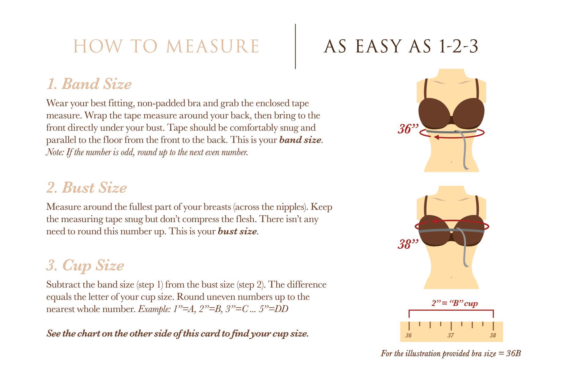 bra size chart age