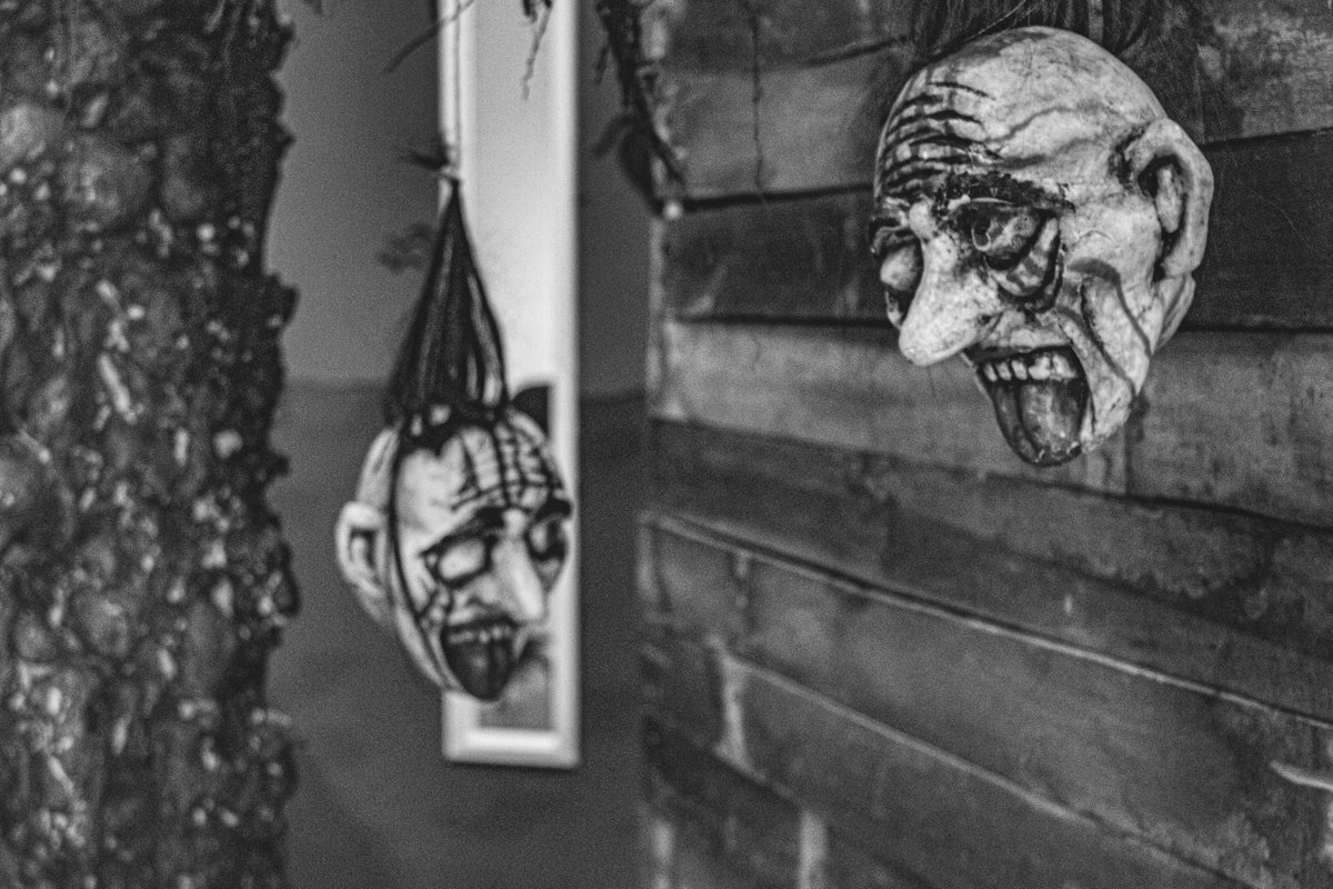 Kunst & Multimedia tweet media