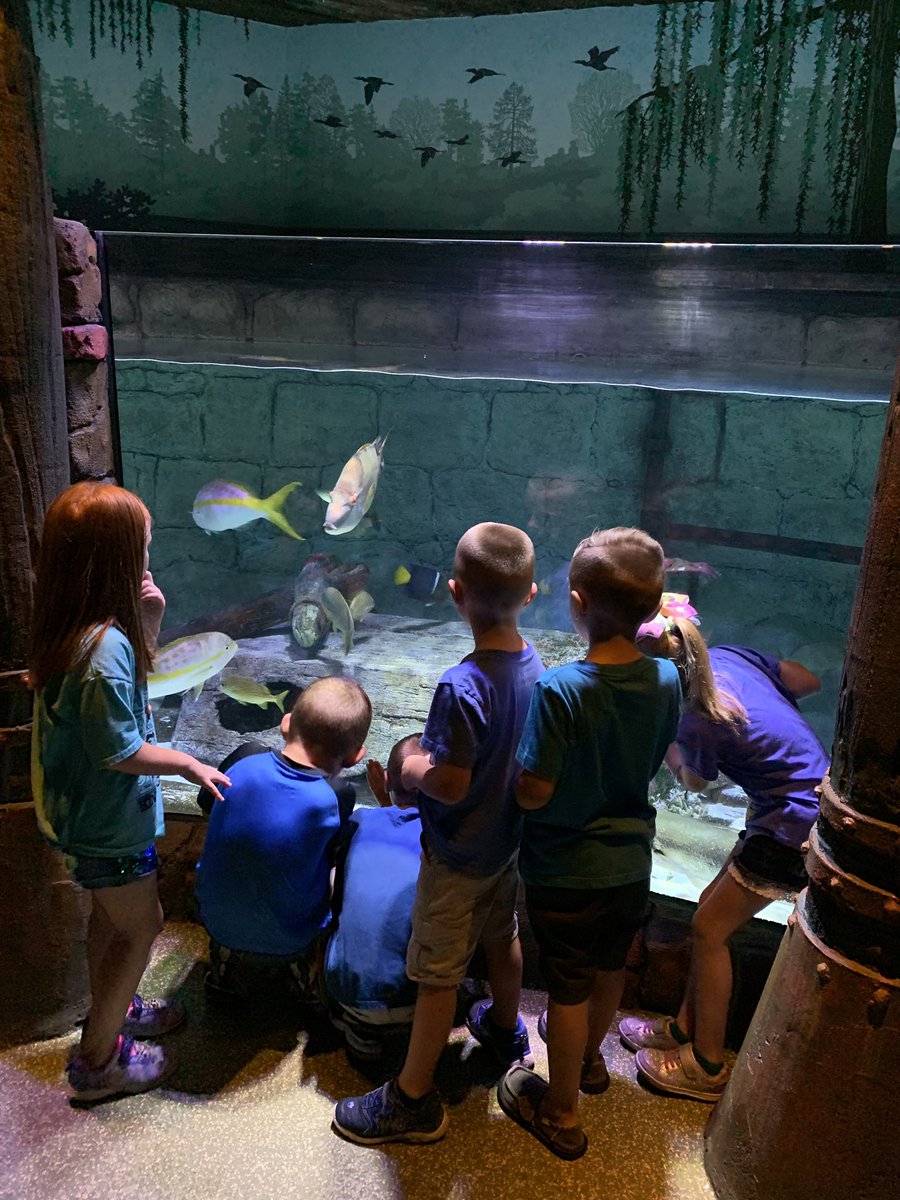 We had so much fun at Sea Life today! #GVSOAR2019