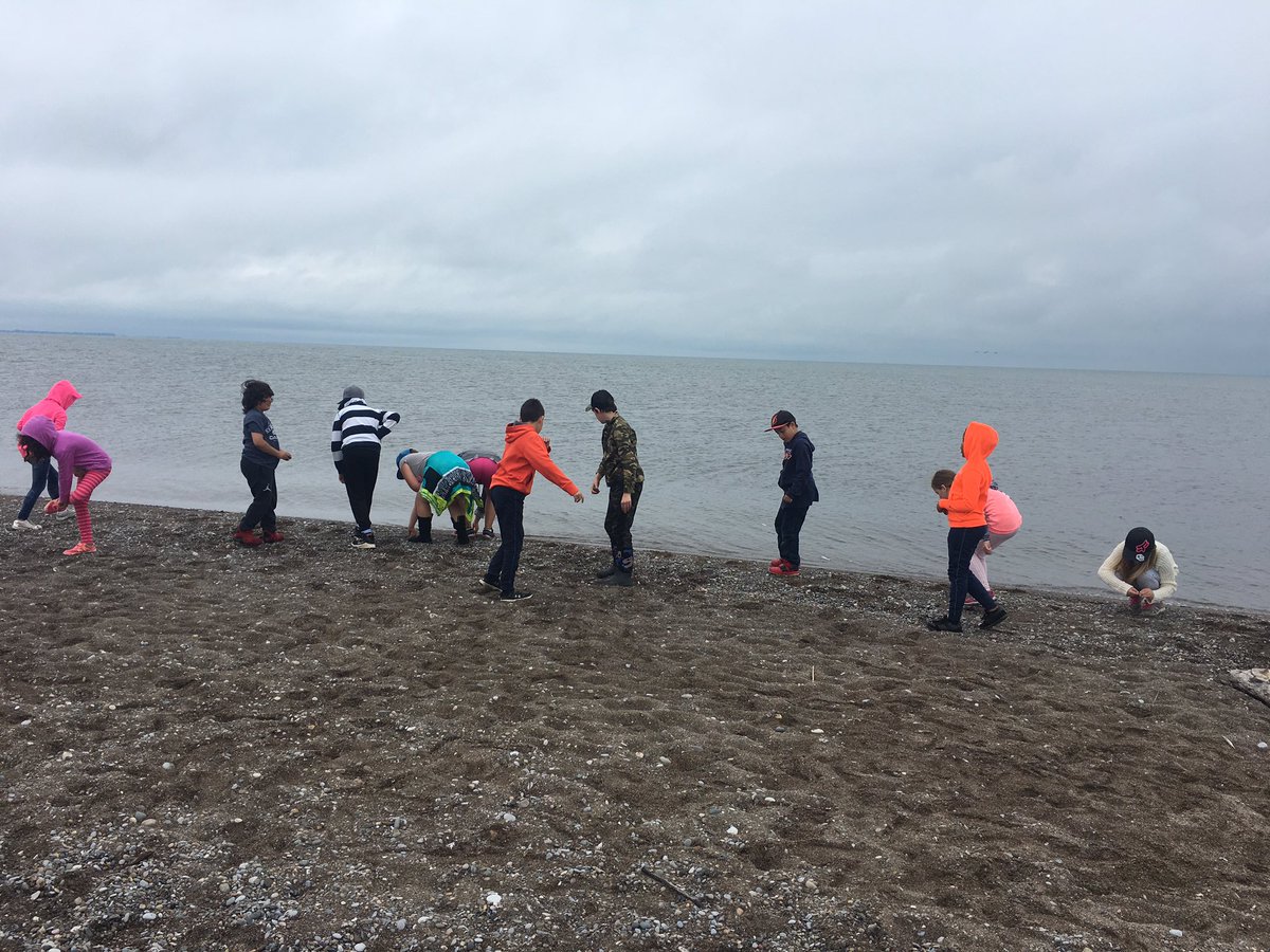 NobleQEPS's tweet photo. Having fun at Point Pelee with 3/4W @QEPSKnights We went to the southern most tip of mainland Canada! https://t.co/eo2Cpj3hsg