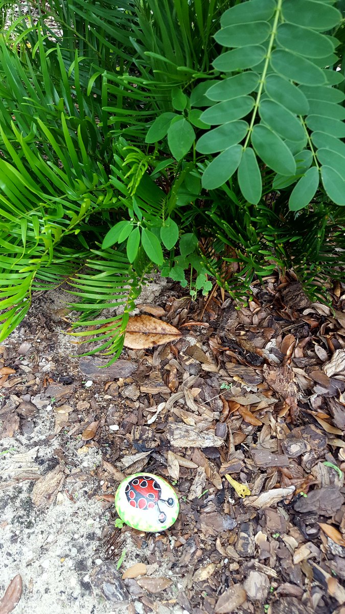 palmerchristin3's tweet photo. I just hid more painted rocks at the W.T. Bland Library. Don't forget to check out some books to read, find a rock, and post a picture of you, your book, and your rock with the hashtag #ManateesRead. #OneTeamOneMission #ReadersAreLeaders https://t.co/OzNvJ51UeL