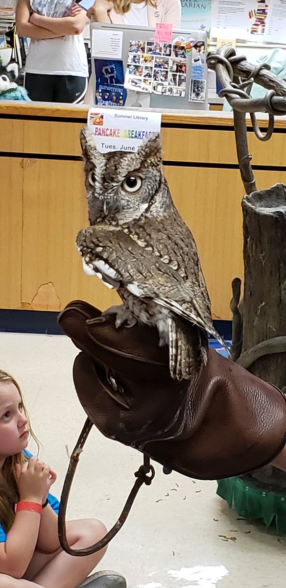 Pattikring44's tweet photo. Brookfield Zoo Ambassadors visits Butterfield's Summer Library for a Family Event!!#Weare44 #BFBluejays#BFLRC https://t.co/vi7sAXQNdx