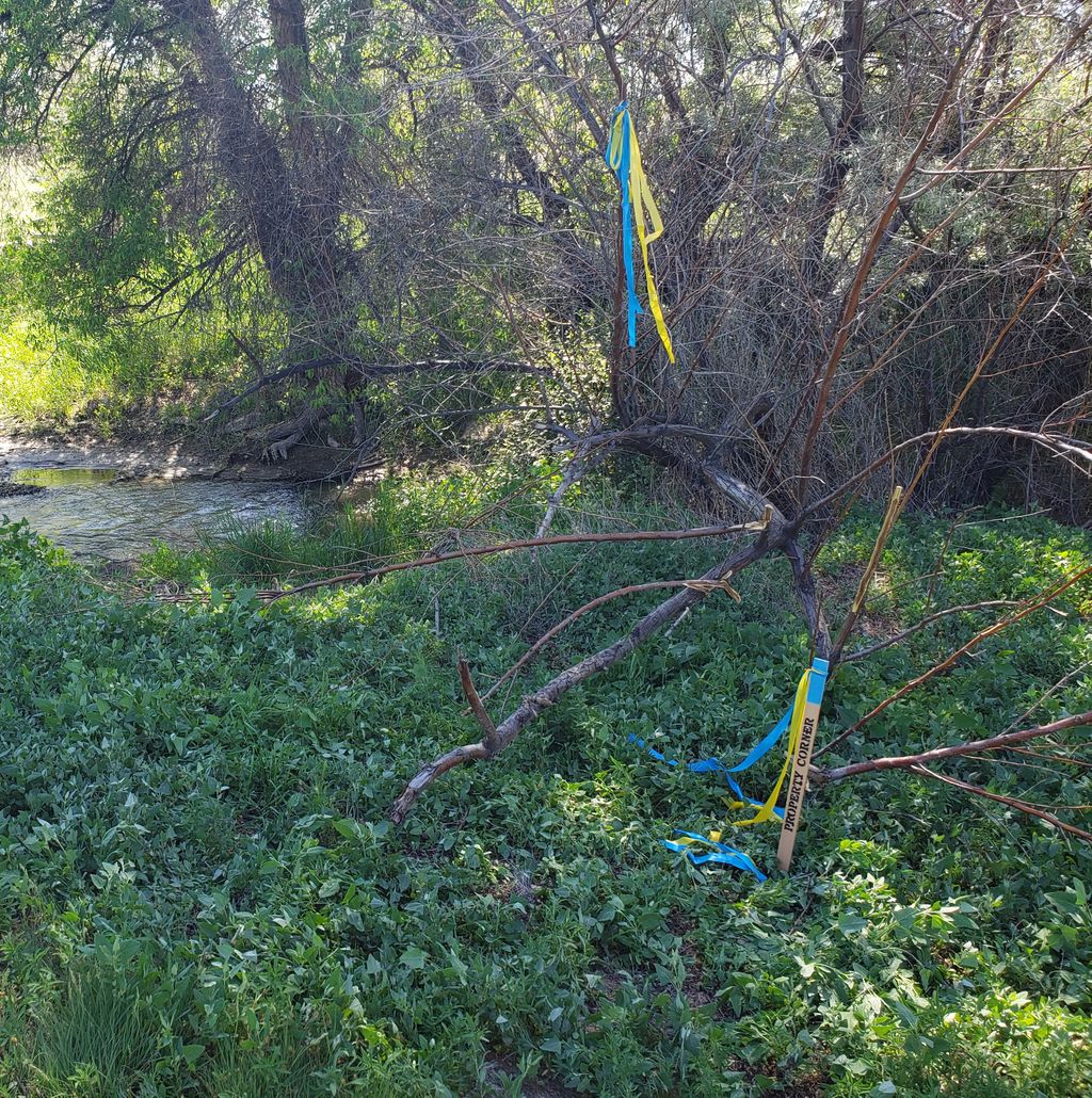 208_Surveys's tweet photo. Taken in Oreana, Idaho.  The flagging marks the spot. Sometimes you have to get creative when marking the boundary pin locations.
#landsurvey
#accuratesurvey

https://t.co/oNfzMXD2UF https://t.co/8iklTkQa5Y