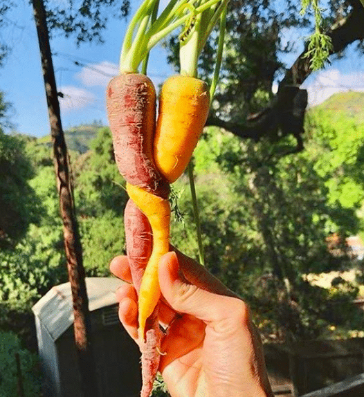 Amanda Proscia tweet media