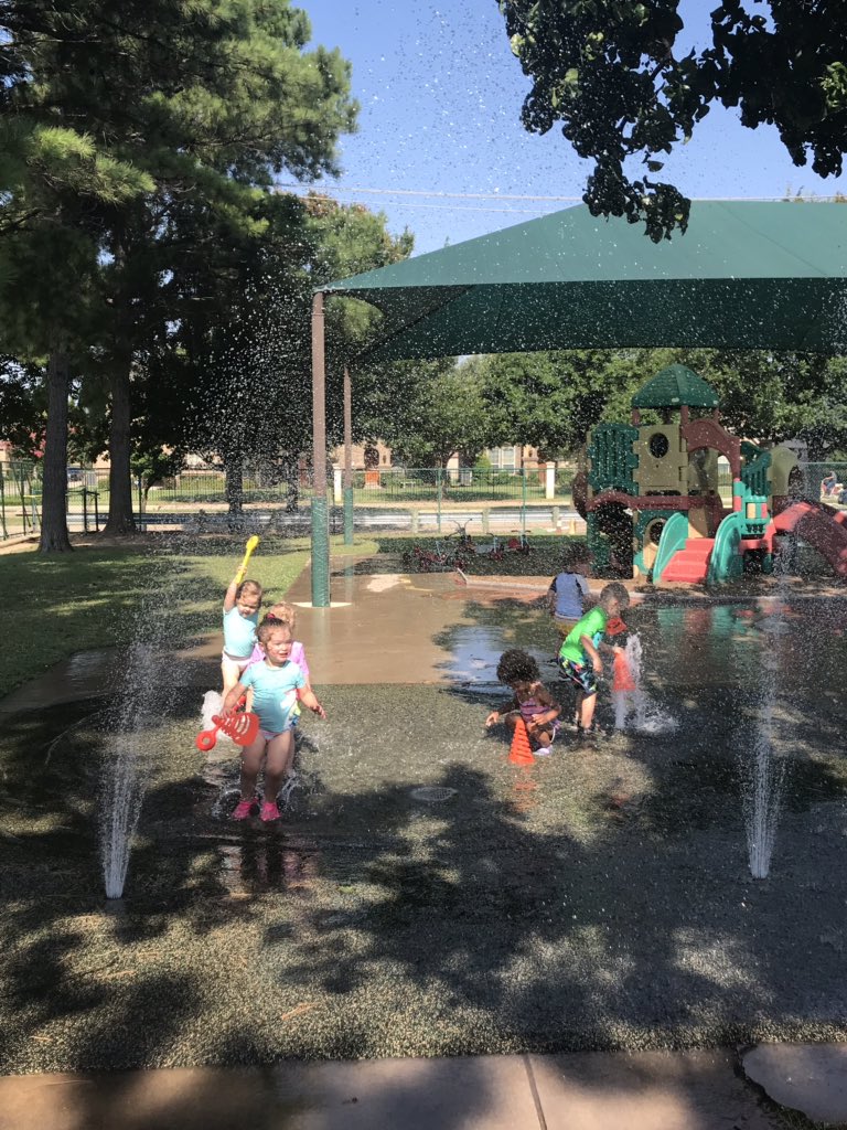 ECDC Bumble Bee tweet media