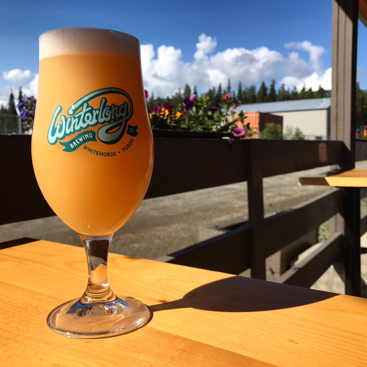 winterlongbeer's tweet photo. HAZE JUNCTION New England Pale Ale (5.4%) is back on tap today! A crossroads of juicy Galaxy and Simcoe hops results in a huge 🍊+ 🍑 + 🍍flavours.
#welcomebacksummer #hazejunction #galaxyhops #simcoehops #dankandjuicy #hazypaleale #newenglandpaleale #yukoncraftbeer #freshbeer https://t.co/nfHJv1sA2R
